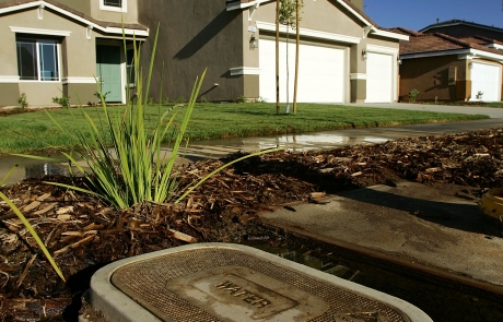 Cost to Replace a Sewer Line